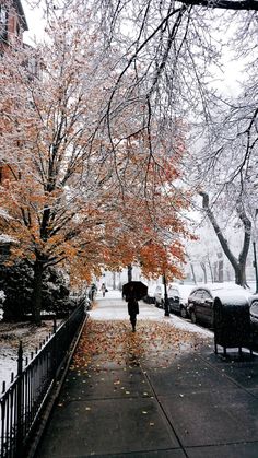 a person walking down a sidewalk in the snow with an umbrella over their head and some leaves on the ground