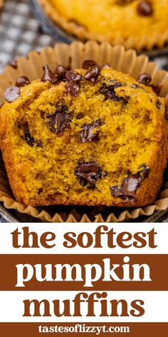 pumpkin muffins with chocolate chips in the middle and text that reads, the softest pumpkin muffins