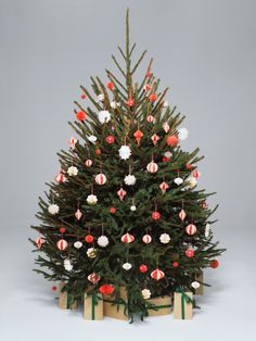 a small christmas tree with candy canes and ornaments on it's branches, in front of a gray background