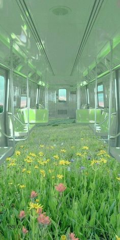 the interior of a bus with lots of green grass and yellow flowers in the foreground