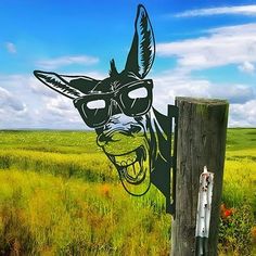 a wooden post with a drawing of a kangaroo wearing sunglasses on it's face