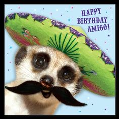 a happy birthday card with a funny animal wearing a sombrero on his head