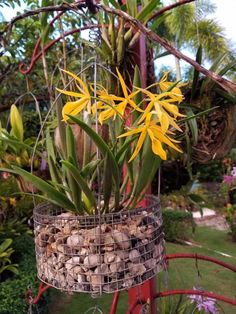 some yellow flowers are in a wire basket on a red pole and is hanging from a tree