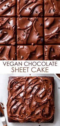 a chocolate sheet cake is cut into squares and topped with chocolate frosting