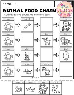 an animal food chain worksheet for kids to learn how to draw and color