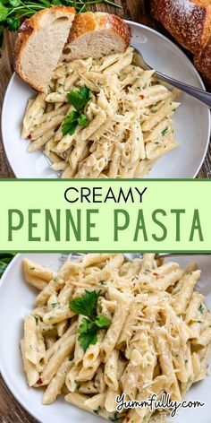 creamy penne pasta with parsley on the side