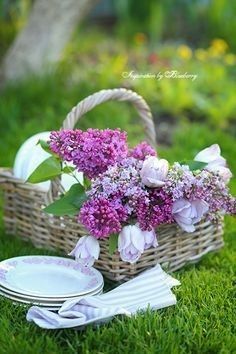 a wicker basket filled with purple flowers next to plates and napkins on the grass