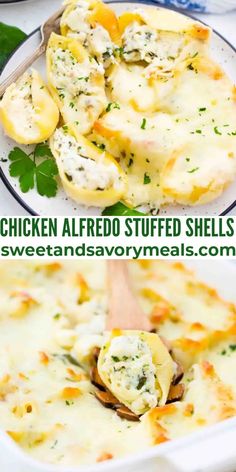 chicken alfredo stuffed shells in a white casserole dish with cheese and parsley