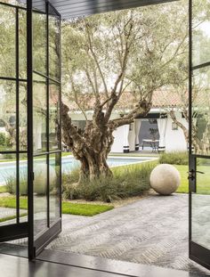 an open door leading to a large tree in the middle of a yard with a pool