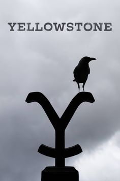 a bird sitting on top of a weather vane with the words yellow stone above it