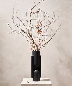 a black vase with flowers in it sitting on a white table next to a wall