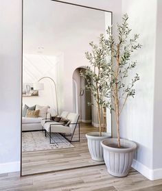 there is a potted plant on the floor in front of a mirror and couch