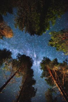 the night sky is filled with stars and trees