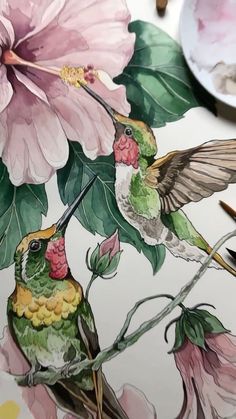 two hummingbirds sitting on top of a flower next to a pink flower and green leaves