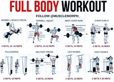 the full body workout poster shows how to do squats and pull - up exercises