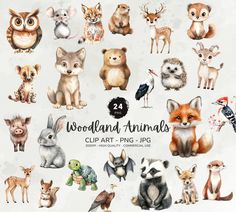 woodland animals clipart - png - jps example image for crict