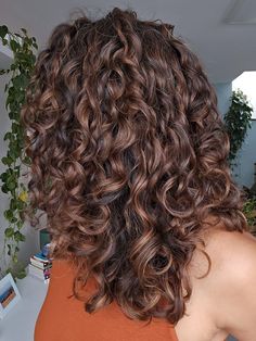 Cinnamon Balayage Curly Hair, Highlights On 2c Hair, Honey Brown Highlights Curly Hair, Curly Dark Brown Hair With Highlights, Shaggy Hair Ondulado, Ondulado 2c, Chocolate Brown Hair Ideas, Midi Hair