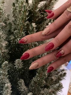 Explore Christmas Nails designs that will add festive flair to your holiday season. From elegant snowflakes to jolly Santa's, find your perfect nail inspiration and dazzle at every Christmas event. Don't miss out on the holiday sparkle! Red Holiday Nails Acrylic Almond, Red Winter Nails 2022, Simple Christmas Nails Winter Almond, Xmas Almond Nails, December Nails Almond Shape, Holiday Nails Winter Christmas Almond, Christmas Nails Dip Almond, Nails Holiday 2022, Christmas Acrylic Nails Almond