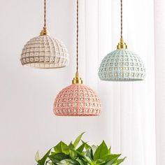 three different colored lights hanging from the ceiling next to a potted plant on a table