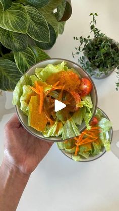 a hand holding a bowl filled with lettuce and carrots next to a potted plant