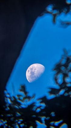 the moon is seen through some trees on a clear day