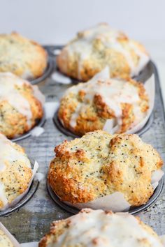 freshly baked muffins with white icing sitting on a baking tray, ready to be eaten