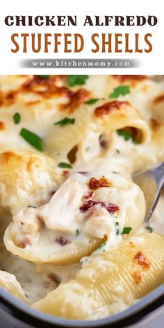 chicken alfredo stuffed shells in a casserole dish