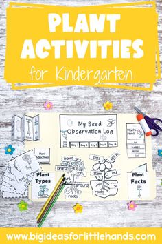 plant activities for children to learn about the garden