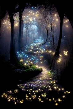 a path in the woods with fairy lights on it and lots of stars all around