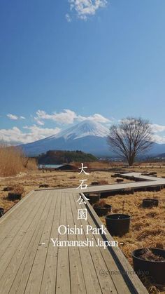 an image of a wooden deck in the middle of nowhere