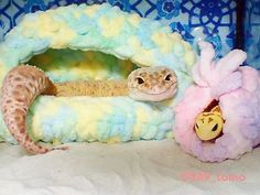 a gecko is hiding in a stuffed animal bed