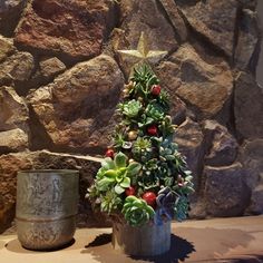 Succulent Christmas Tree: "Everything but the presents" - Wedding Succulent Favors & Cactus for Sale Succulent Christmas Tree, Succulent Christmas, Diy Bridal Party, Cactus For Sale, Succulent Tree, Christmas Tree Kit, Succulent Favors, Succulent Wedding Favors, Cactus Types