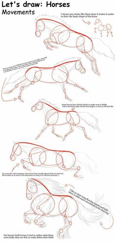 how to draw horses step by step