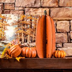 pumpkins and gourds are sitting on a ledge in front of a brick wall