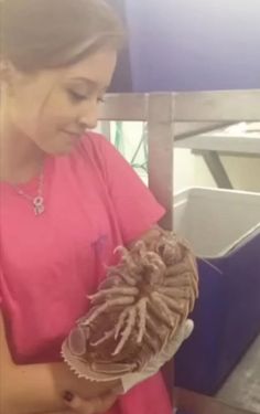 A Marine Biologist Cradling a giant Isopod like a baby. Giant Isopods live at a depth of 1,600 ft (500m) below the ocean's surface. SEE MORE: 23 Most Weird Animal Encounters👉 Giant Isopod Drawing, Isopods Cute, Giant Isopod Cute, Isopod Pfp, Giant Isopod, Giant Microbes, Pill Bug, Animal Encounters, Scary Animals