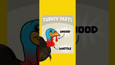 a turkey is standing in front of a sign that says turkey parts should be watttie