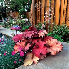 a garden with flowers and plants in it