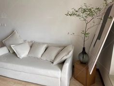 a white couch sitting next to a vase with a plant in it