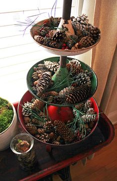 three tiered trays filled with pine cones, moss and other items on a table