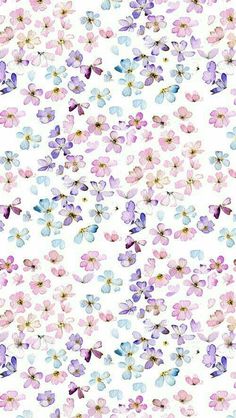 many different colored flowers on a white background