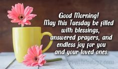 two pink flowers sitting in a yellow coffee cup with the words good morning may this tuesday be filled with blessing, answered prayer, and endless joy for you