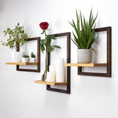 three wooden shelves with plants and candles on them