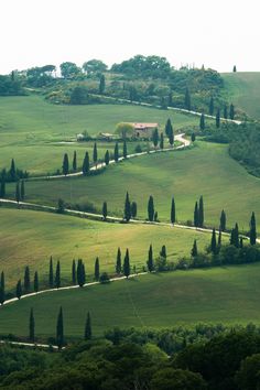 an image of a quote on the side of a hill that says, no matter where you stand, there is a clear path to where you really want to be