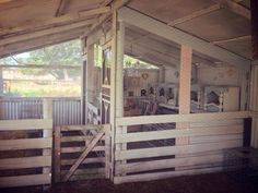 the inside of a barn with sheep in pens and stalls on either side of it