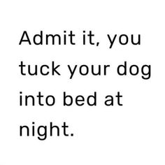 the words admit it, you tuck your dog into bed at night on a white background