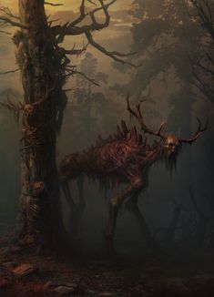 an animal that is standing in the woods