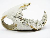 Ring | Daniella Saraya. "Re-Cover" Porcelain Rings, Korean Jewelry, Contemporary Ring, Handmade Jewelry Designs, Nature Inspired Jewelry