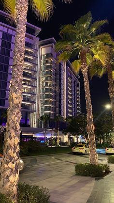 palm trees in front of a hotel at night with cars parked on the street below