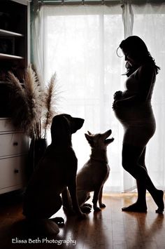 a pregnant woman standing next to two dogs in front of a window with sheer curtains