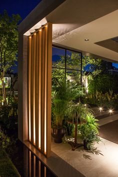 an outdoor area with plants and lights at night